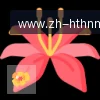 华体会APP logo
